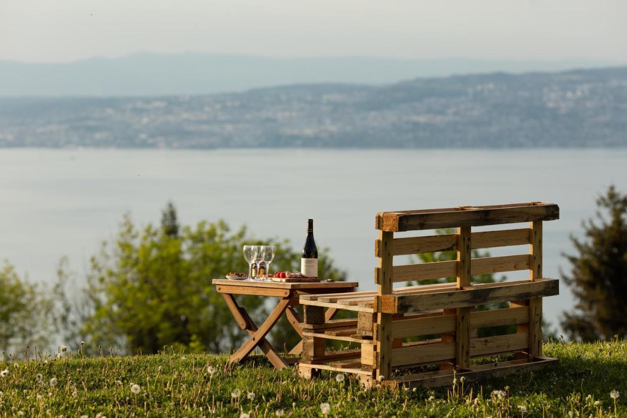 Garden & City Evian - Lugrin Exterior photo