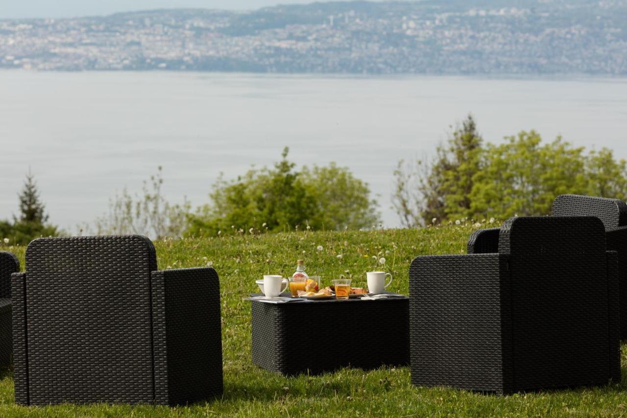 Garden & City Evian - Lugrin Exterior photo